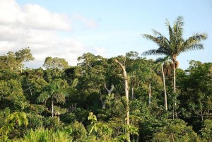 Klimatische Verhältnisse für die Mehrheit kein Hindernis