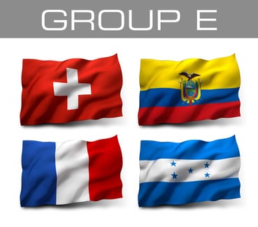 Brazil 2014 teams - Group E