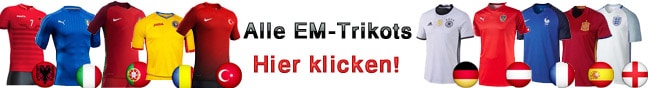 emtrikots-banner