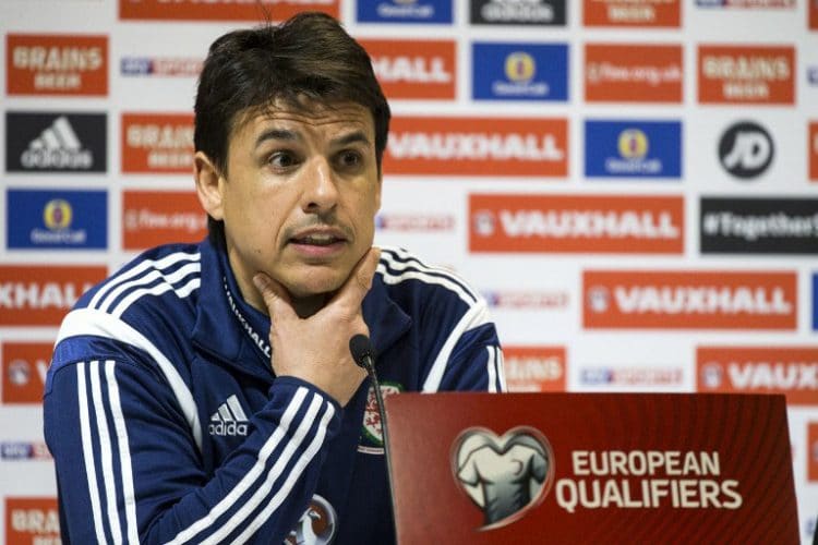 Chris Coleman: Nationaltrainer von Wales. AFP PHOTO / JACK GUEZ