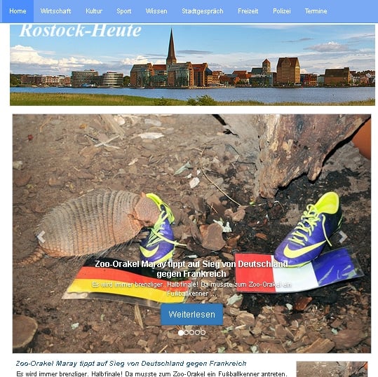 Orakel sagt Deutschland Sieg im EM-Halbfinale gegen Frankreich voraus