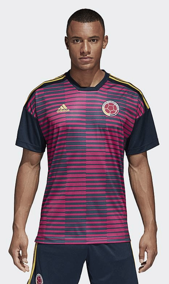 Dfb Pre Match Shirt Dfb Pre Match Shirt