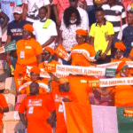 Fans der Elfenbeinküste freuen sich auf das Achtelfinale des Africa Cups 2022.