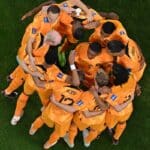 Fußball WM heute Ergebnis * 1:1 Niederlande gegen Ecuador * ARD 17 Uhr WM-Übertragung